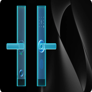 Smart Door Lock C200 – Black – 30 Hook – Wooden Door