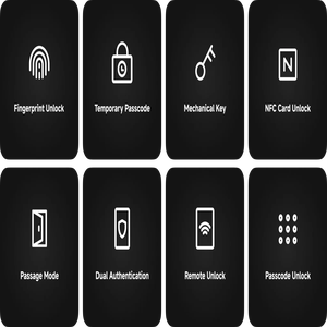 Smart Door Lock C200 – Black – 30 Hook – Wooden Door