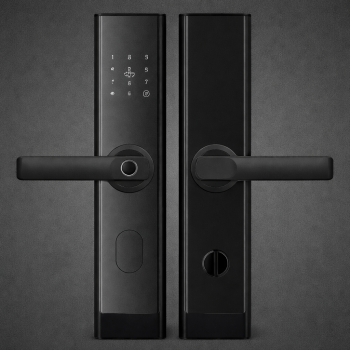 Smart Door Lock C200 – Black – 30 Hook – Wooden Door