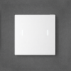 Nature Switch (MATTE) White AG Glass – White – 2 Way